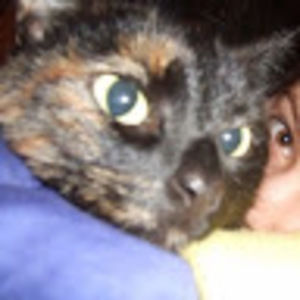 Meet your Posher, Cat